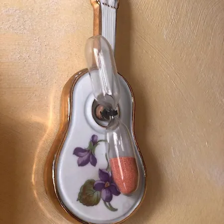 Apartament Aux Deux Cigognes Ammerschwihr