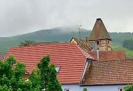 Aux Deux Cigognes Appartamento Ammerschwihr