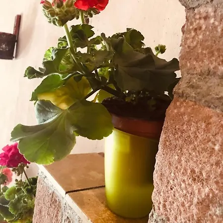 Aux Deux Cigognes Apartament *