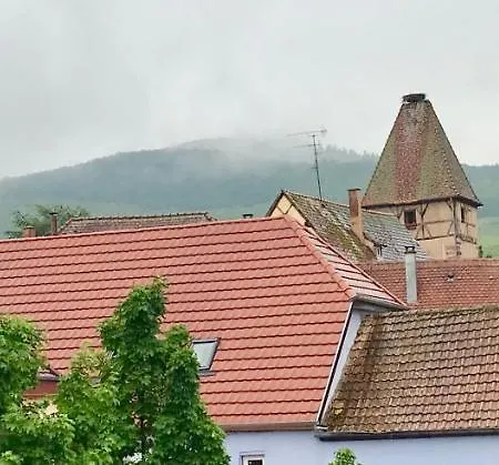 Lägenhet Aux Deux Cigognes Ammerschwihr