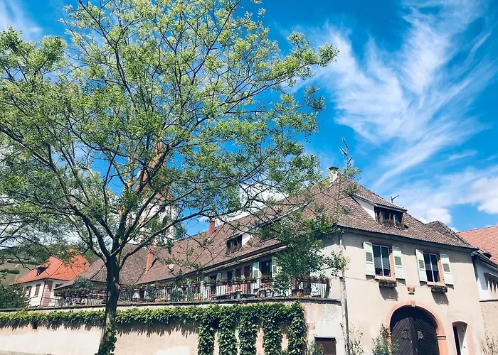 Aux Deux Cigognes Apartment *