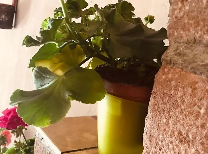 Aux Deux Cigognes Apartment *